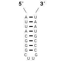 Sequence #2 - Secondary Structure