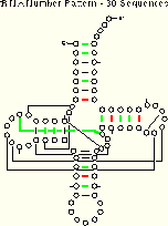 tRNA-30 Number Pattern